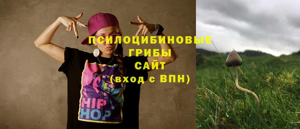 спиды Белокуриха
