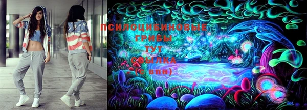 спиды Белокуриха