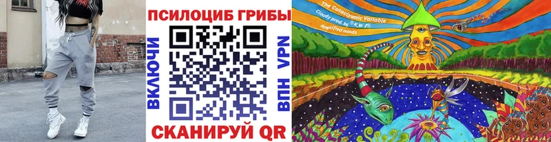 это Telegram  Верхнеуральск  Галлюциногенные грибы мицелий 